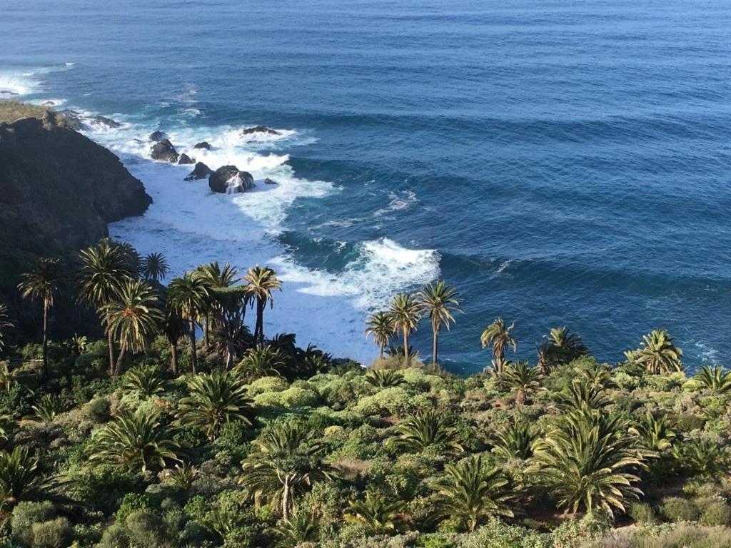Home2Book El Encanto De La Torre I サンタクルスデテネリフェ エクステリア 写真