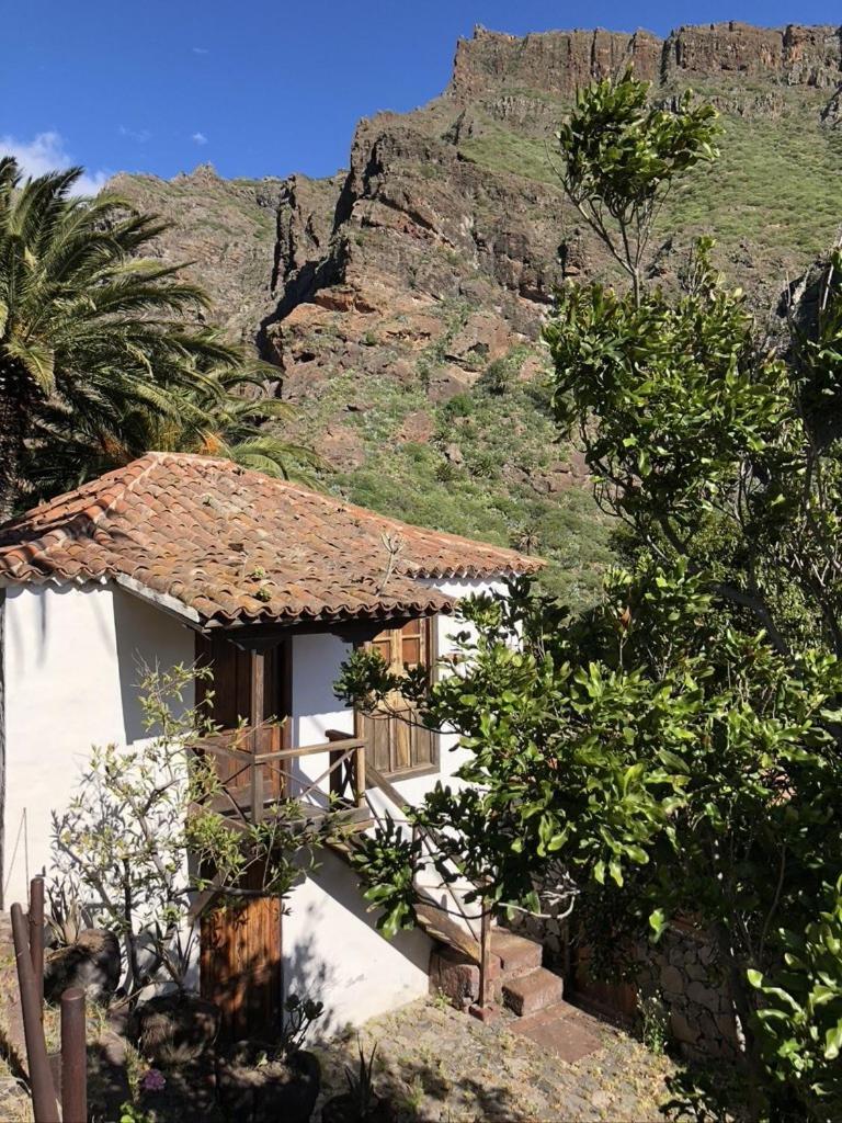 Home2Book El Encanto De La Torre I サンタクルスデテネリフェ エクステリア 写真