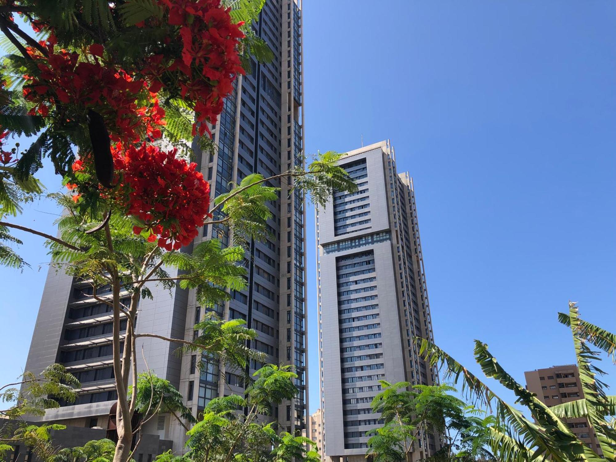 Home2Book El Encanto De La Torre I サンタクルスデテネリフェ エクステリア 写真